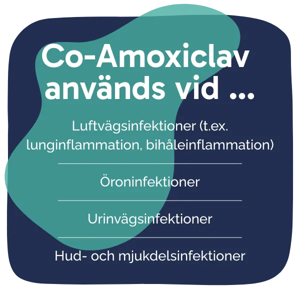 Behandling med Co-Amoxiclav