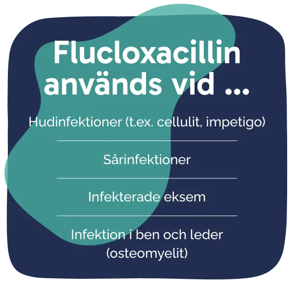 Behandling med Flucloxacillin