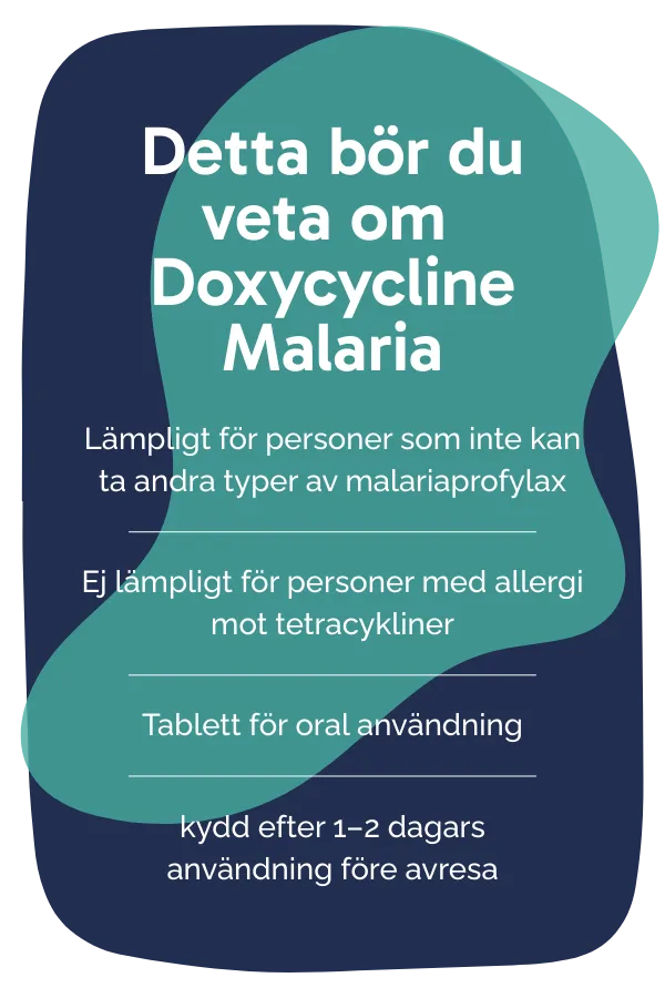 Detta bör du veta om Doxycycline Malaria